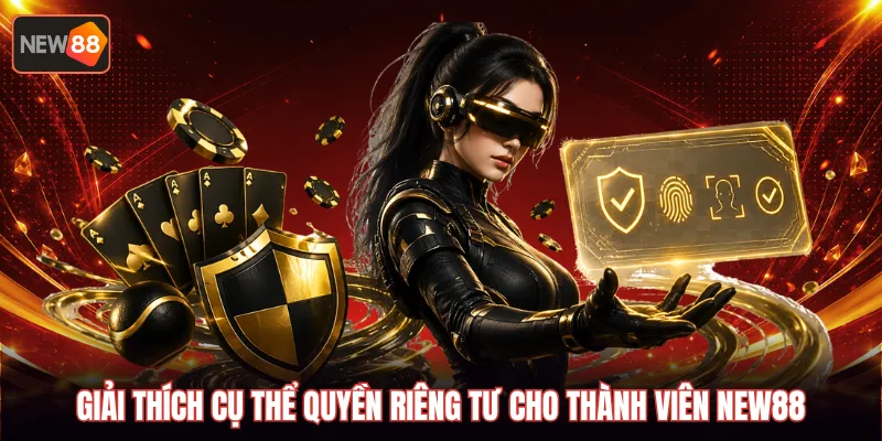 Giải thích cụ thể quyền riêng tư cho thành viên NEW88